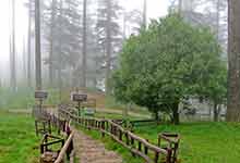 Musoorie packages